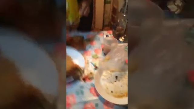 +100500 Спанч боб готовит Крабс бургер прикол 2017 смотреть онлайн