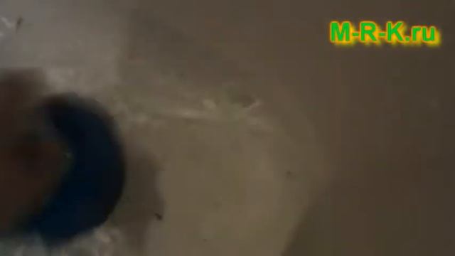 Сантехник профессионал смотреть онлайн