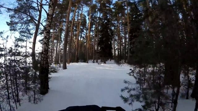 Покатушка на квадроцикле по Волге и бору №2 смотреть онлайн