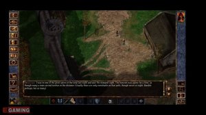 Baldur's Gate: Enhanced Edition Gameplay Android Gameplay