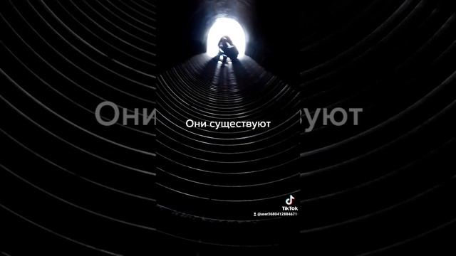 они существуют