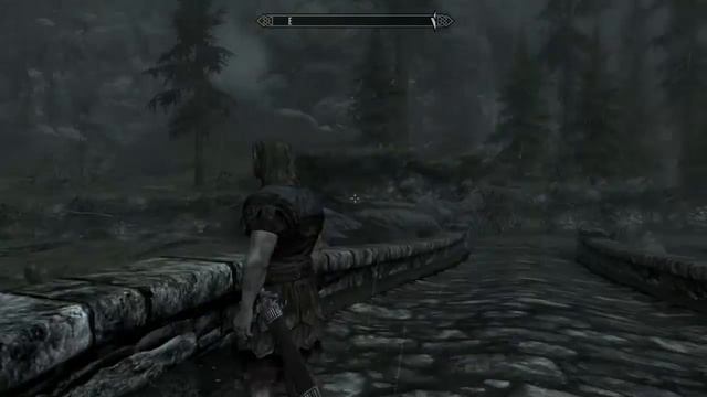 Skyrim // Intel HD Graphics 4000