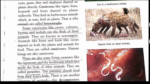 L-1 The living and the non living || Class 5 || E for environment. смотреть онлайн