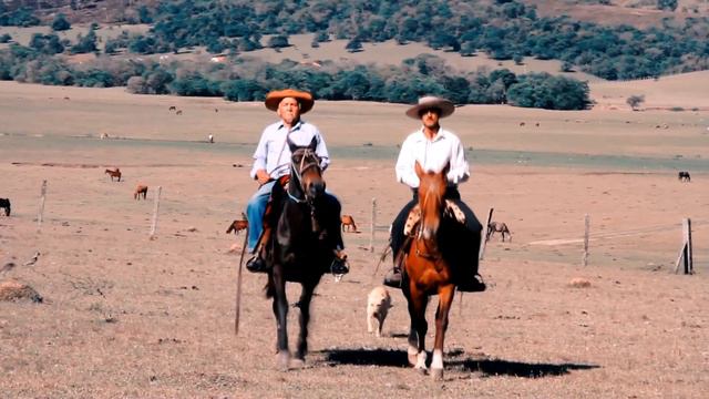 Juan Pablo Guzmán - Soy carapareño (Videoclip Oficial). смотреть онлайн