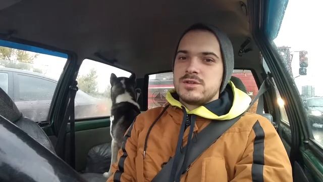 Сбежала собака. Дачный VLOG. смотреть онлайн
