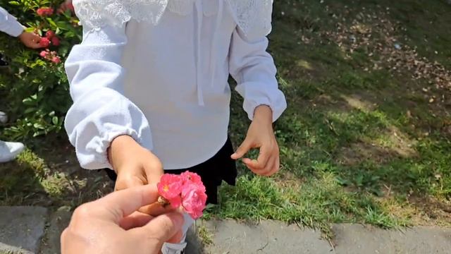 Şagirdlərimin sevgi ilə dərib verdiyi güllər isə bir başqa sevinc. Şagirdlərimin sevgisi. ❤ смотреть онлайн
