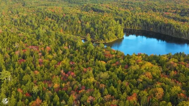 Autumn Scenery & Fall Foliage, Peaceful Soothing Instrumental Piano Music, Autumn Melodies #2