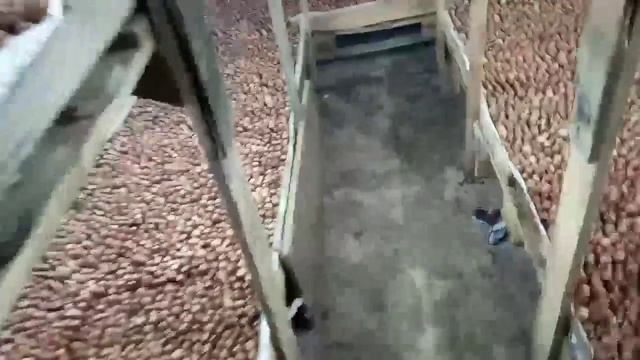 Процесс посадки лука ,лук на перо .Бизнес-идея смотреть онлайн