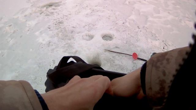 зимняя рыбалка на окуня.ловля окуня зимой подводная съемка рыбалка 2021. смотреть онлайн
