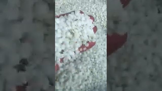 Вторичная гранула полиэтилена HDPE для литья смотреть онлайн