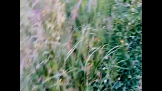 СТАЛК/ПО ОХРАНЯЕМЫМ ОБЪЕКТАМ смотреть онлайн