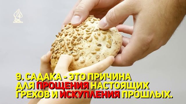 20 польз от садака смотреть онлайн