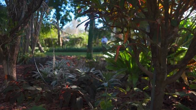 Doc Block's TROPICAL BACKYARD Paradise Tour — Ep. 301 смотреть онлайн