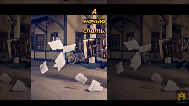 Жизнь холостяка смотреть онлайн