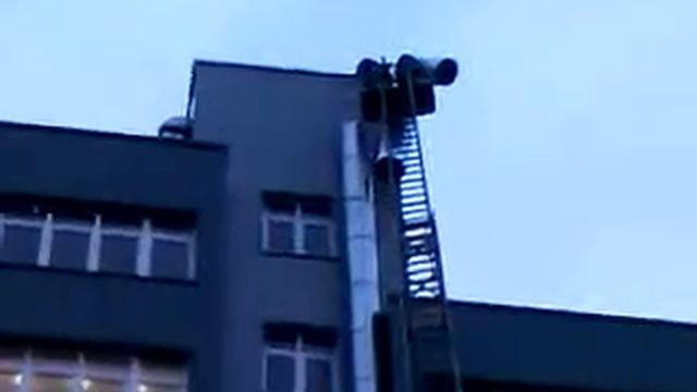 BestHause-4.3gp смотреть онлайн