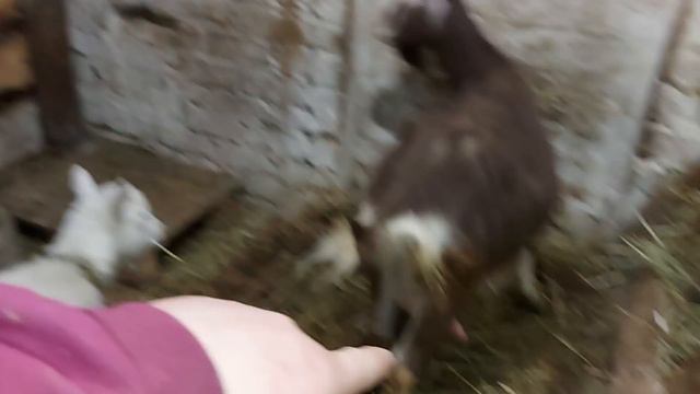 Надеюсь скоро всё получится)))) смотреть онлайн