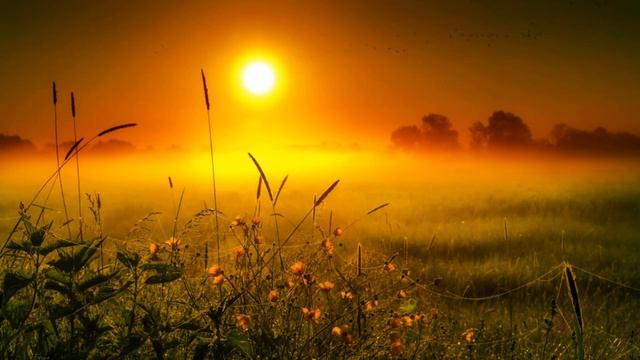 Школа осознанности Этери Ильиной. Наталья Ковалева. Буддистская медитация покоя смотреть онлайн