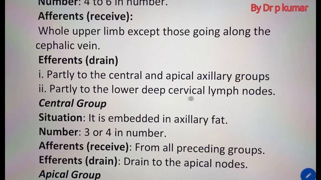 Axillary Lymph Nodes With Clinical Anatomy смотреть онлайн