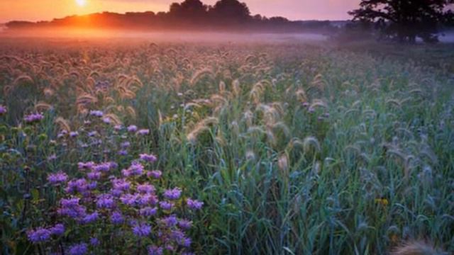 Только МАМА смотреть онлайн