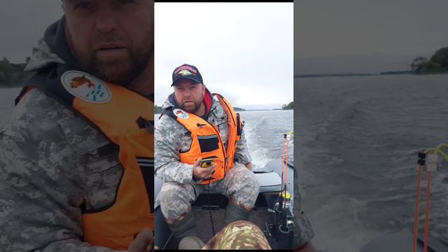 Фокино Волга