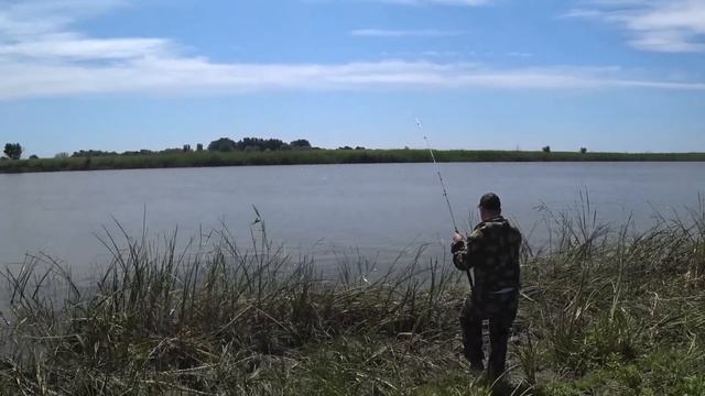 РЫБАЛКА В АСТРАХАНИ |2023| ЛОВЛЯ САЗАНА И КАРАСЯ НА ПОСТАВУШКИ смотреть онлайн