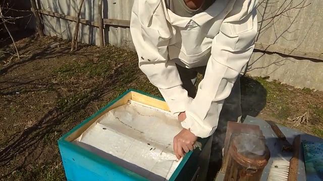 Открытие канала Первый весенний осмотр пчелосемей смотреть онлайн