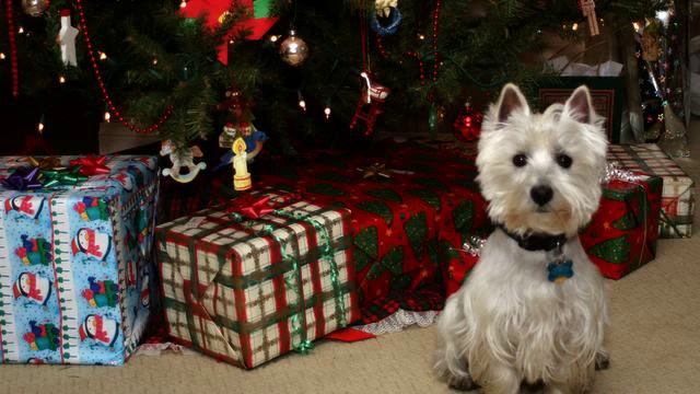 Офигенный новогодний трек 2015. Хочу праздника! смотреть онлайн