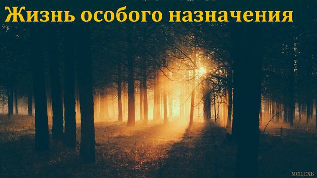 "Жизнь особого назначения". А. Сенцов. МСЦ ЕХБ. смотреть онлайн