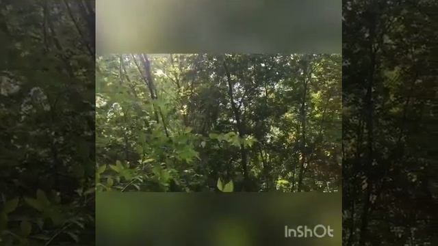 Клементьева Юлия смотреть онлайн