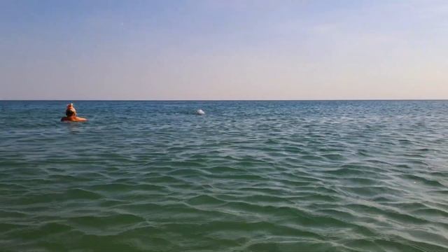 Дельфины на пляже Благовещенской(Анапа). 34 августа. Солнце, ветер, чистейшее море, шикарное лето!