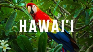 Гавайи 4K 60fps HDR (ULTRA HD)