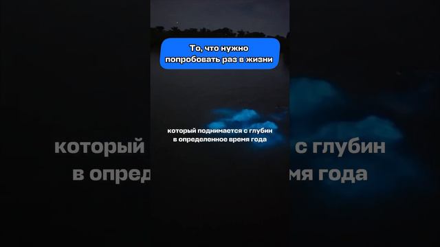 Кто уже видел это волшебство в реальной жизни? 👇 #авиасейлс #aviasales #океан #путешествия смотреть онлайн