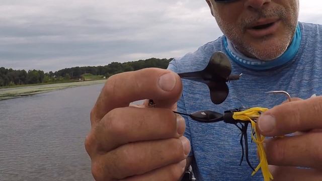Potomac River Bass Fishing - FLW Costa Tournament final day of practice! смотреть онлайн