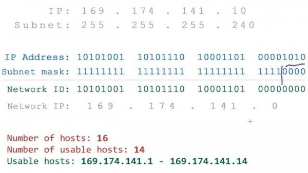Computer Networking Tutorial - 26 - Network IP Address
