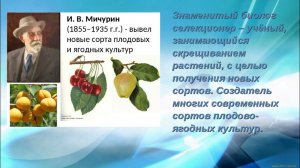 Выдающиеся учёные России и их открытия