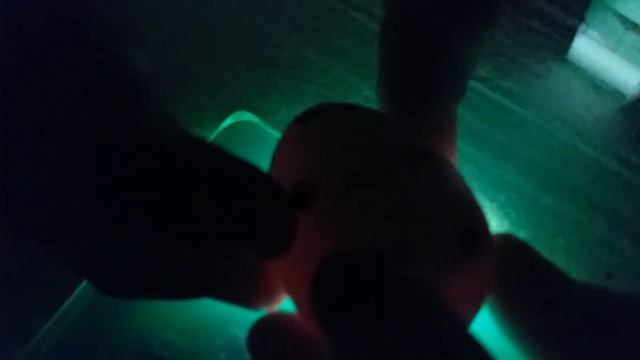 Овоскопировал перепелиные яйца на 14 день. И вот что я увидел! смотреть онлайн