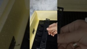 Инкубатор «Золушка-2020» НОВИНКА, на 98 куриных яиц