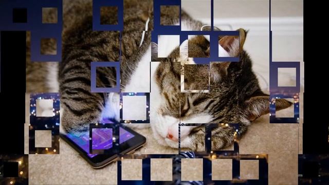 Даша и Чучело мяучело смотреть онлайн