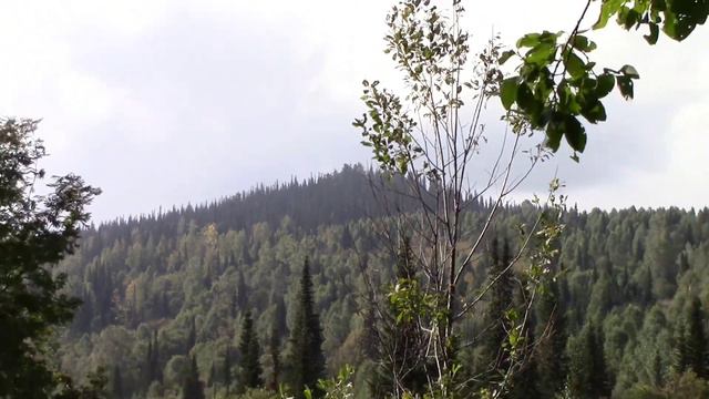 Патын Испытание на прочность смотреть онлайн