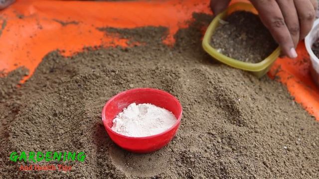 টবে সব ধরনের গাছ লাগানোর জন্য উপযুক্ত মাটি তৈরি করার সহজ পদ্ধতি। смотреть онлайн