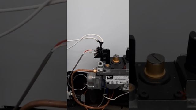 Газовый котел Lemax премиум