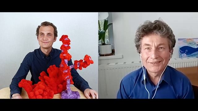 Мягкие игрушки КОРАЛЛЫ. Общение на встрече покупателей, г. Новосибирск смотреть онлайн