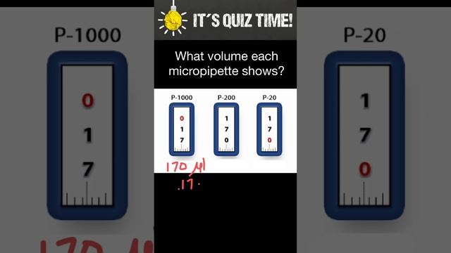 How to set and read microppipette volume смотреть онлайн
