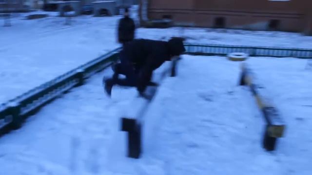 Треня с ребятнёй смотреть онлайн
