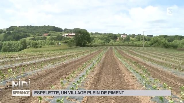 SUIVEZ LE GUIDE : Espelette, un village plein de piment смотреть онлайн