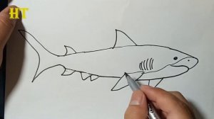 How to draw a tiger shark step by step | Fish drawing easy