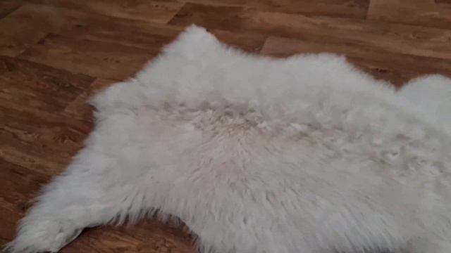 ОВЕЧЬЯ ШКУРА ДЛЯ ДОМА НА ПОЛ (КОД: 4641) смотреть онлайн