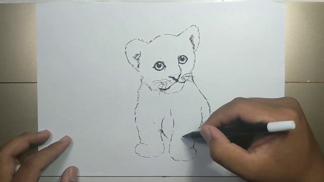 How to draw BABY TIGER step by step смотреть онлайн