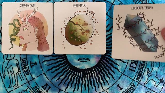 My new oracle deck is in!!! Brother II Brother Oracle first look! смотреть онлайн