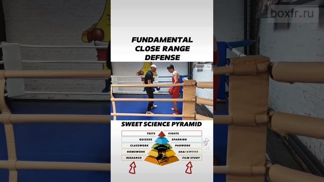 Fundamental Close Range Defense смотреть онлайн